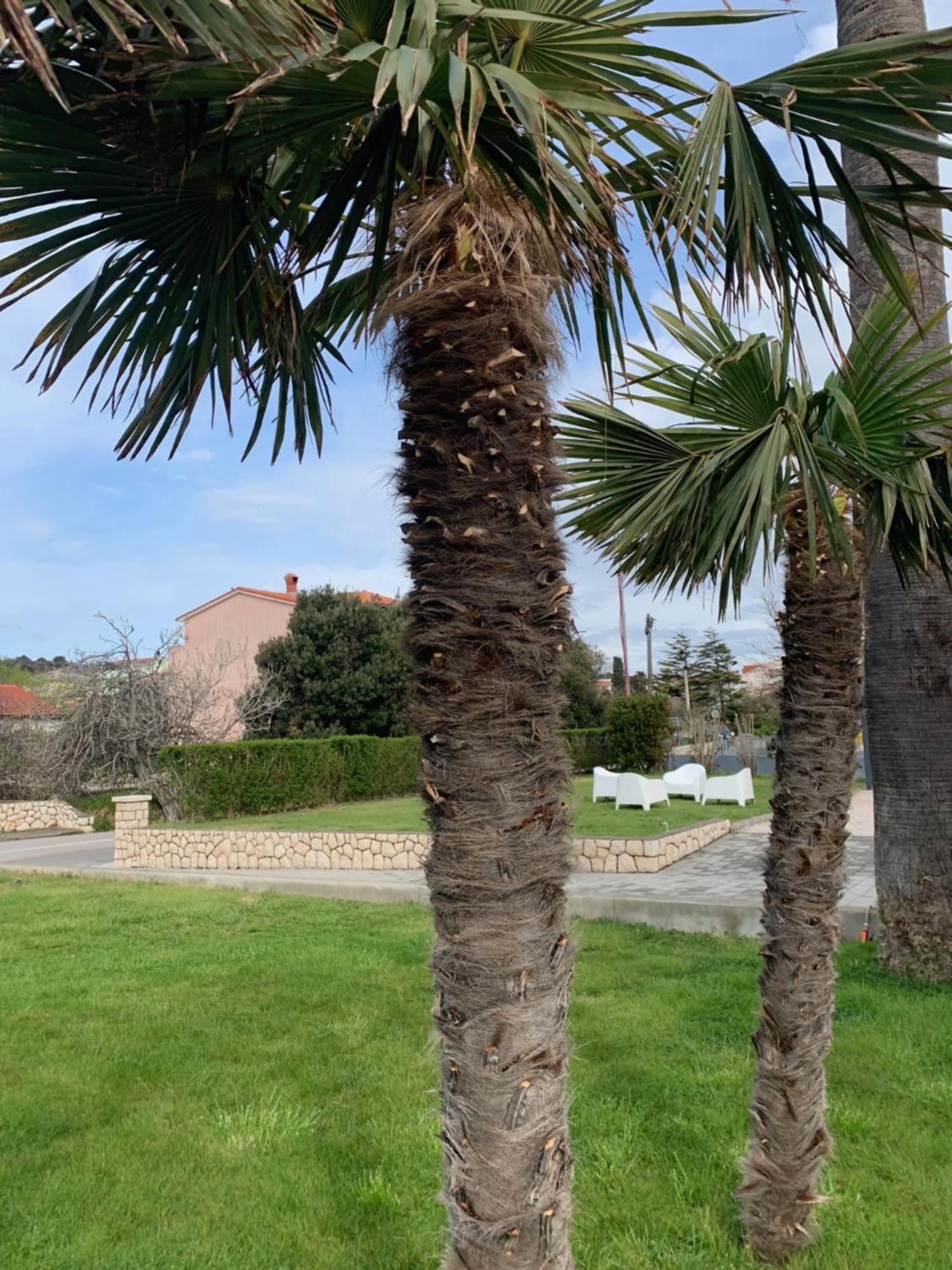 Rab Island Apartmets - Palit Rab Town Dış mekan fotoğraf
